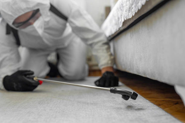 Professional Bed Bug Control technician working in Bullitt County County, KY